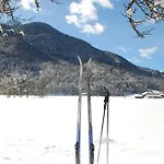 Trata Краньска Гора