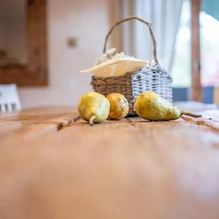 Trata Apartman Kranjska Gora