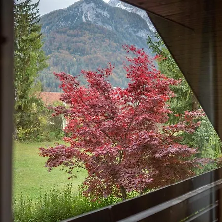 Trata Kranjska Gora