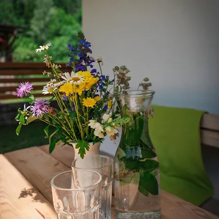 Apartma Trata *