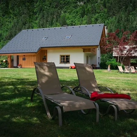 Trata Apartment *