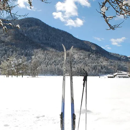 Trata Kranjska Gora