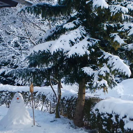 Trata Apartment Kranjska Gora