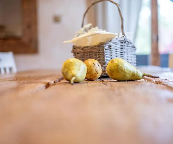 Trata דירה קרנייסקה גורה