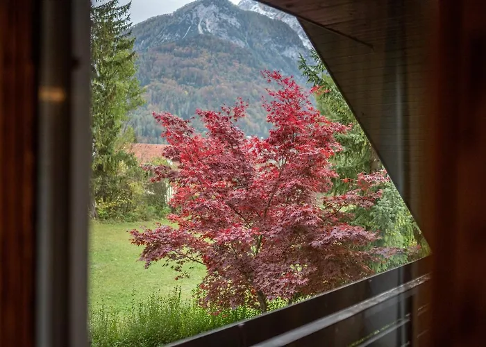 Trata קרנייסקה גורה